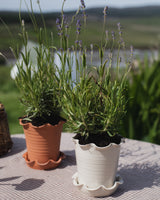 Frilly Stoneware Plant Pot & Saucer Homeware Paige Mitchell