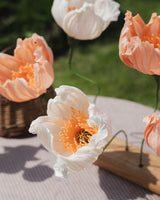 Poppy Single Stem – Cream Homeware Natalia Manczak