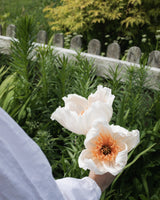 Poppy Single Stem – Cream Homeware Natalia Manczak
