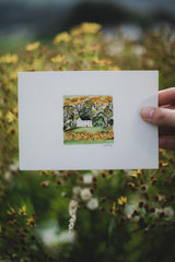 Mini Scottish Collection 4 Art Eve Tong