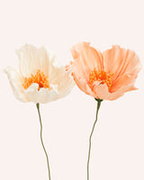 Poppy Single Stem – Cream Homeware Natalia Manczak
