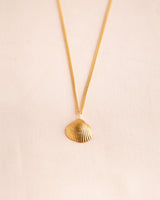 Cockle Shell Pendant Jewellery Jen Carter Pearson