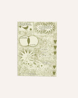 Creatures, Plants & Stars Print Artwork Tulips and Heather