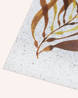 Giant Kelp Print on Seaweed Paper A4 Artwork Kelpi Studio