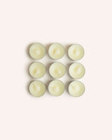 Wild Gorse Tea Lights Homeware St Eval Candle Company