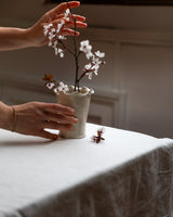 Small Frilly Vase Homeware Paige Mitchell