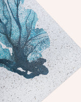 Sea Fan Print on Seaweed Paper A3 Artwork Kelpi Studio