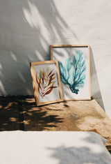 Giant Kelp Print on Seaweed Paper A4 Artwork Kelpi Studio