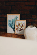 Giant Kelp Print on Seaweed Paper A4 Artwork Kelpi Studio