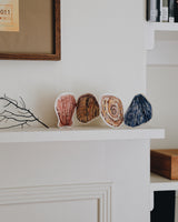 The Shell Collector Concertina Greeting Card Cards Megan Fatharly