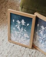 Healing Highland Plants – Coral Fade