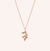 Coralline Necklace Accessories Jen Carter Pearson Rose Gold Plated