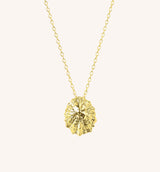 Limpet Necklace Jewellery Jen Carter Pearson Yellow Gold Plated