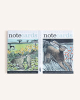 Shooting Stars + Look Out Notecard Pack Homeware Art Angels