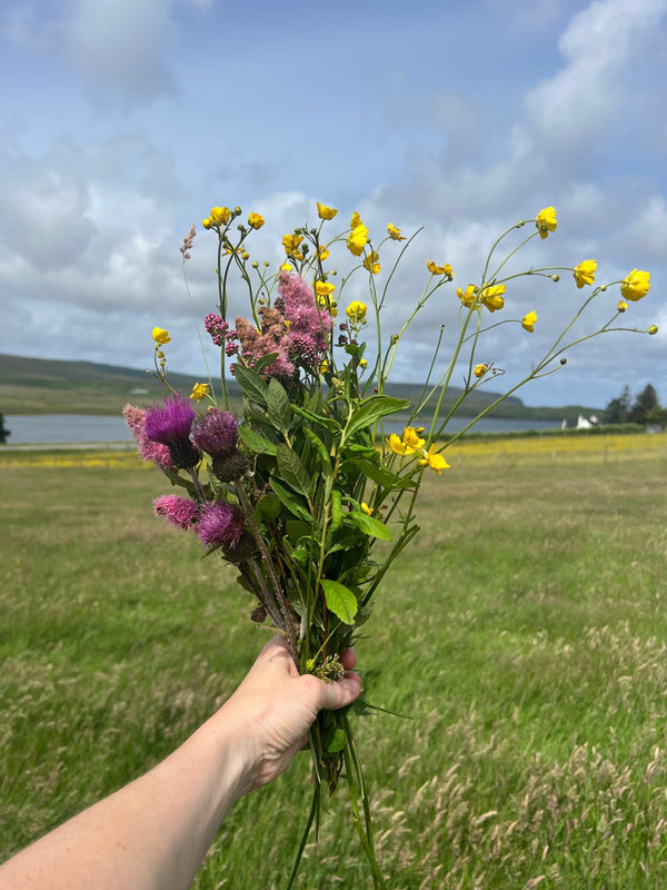 A Gardener's Guide to Skye