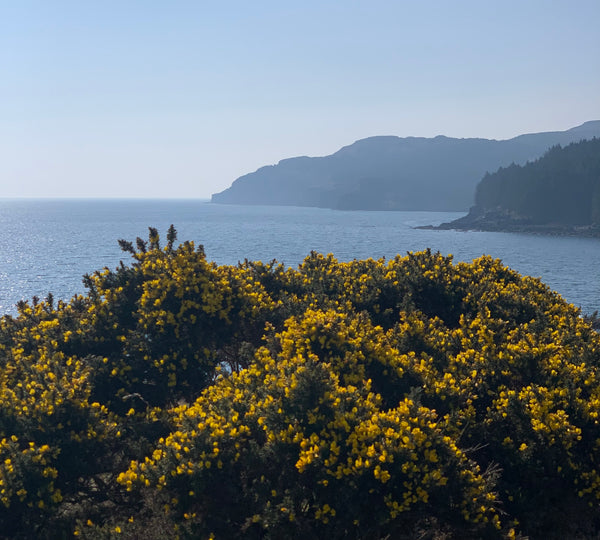 Foraging In Skye With Native Chef Calum Munro