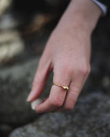 Cowrie Ring in Yellow Gold Plate Accessories Jen Carter Pearson