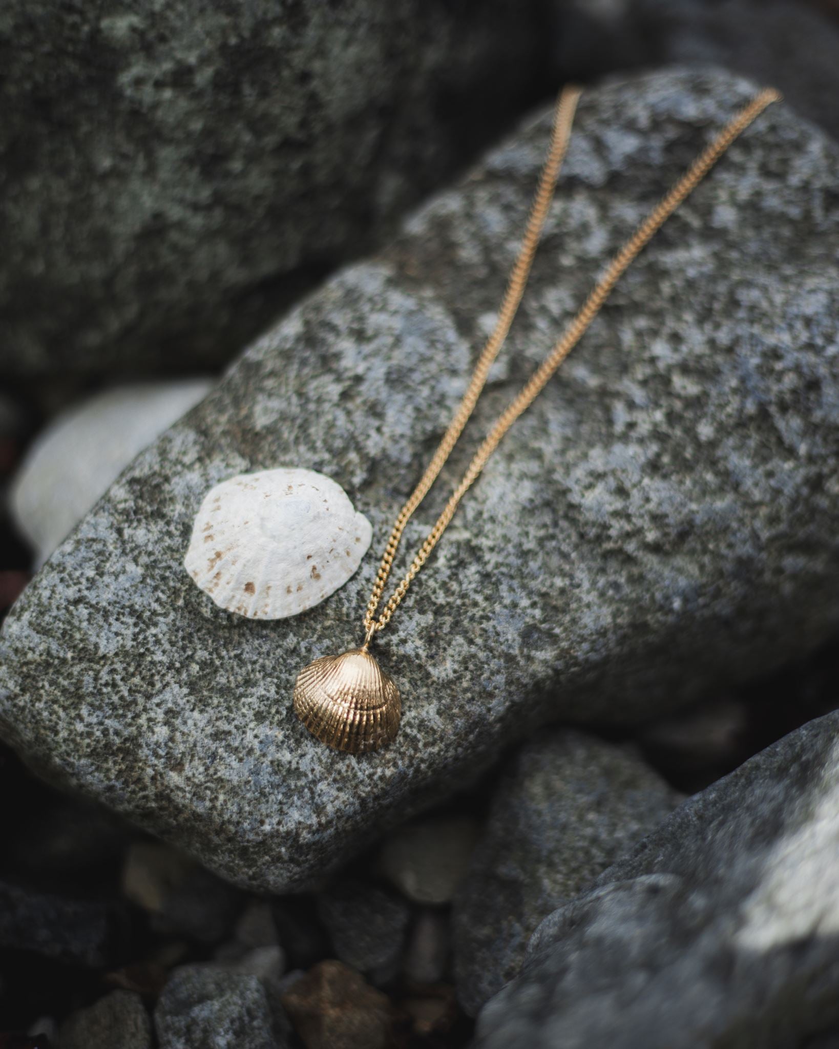 Cockle Shell Pendant – Òr
