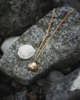Cockle Shell Pendant Jewellery Jen Carter Pearson