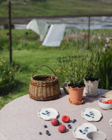 Frilly Terracotta Plant Pot & Saucer Homeware Paige Mitchell