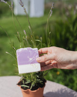 Lavender & Chamomile Soap Homeware Half of Nine