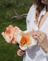 Poppy Single Stem – Salmon Homeware Natalia Manczak