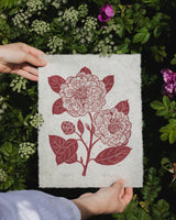 Camellia Cedar Pink Lino Print Artwork Isla Middleton Design Limited