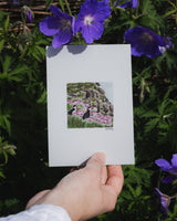 Mini Scottish Print – Collection 5