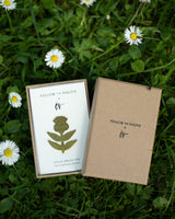 Scottish Thistle Pin Accessories Follow The Magpie
