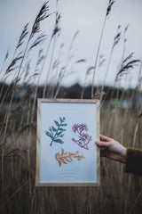 Skye Wildflowers Relief Print Art Olivia Lucy