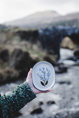 Forget Me Not Plate Homeware Catriona Archibald