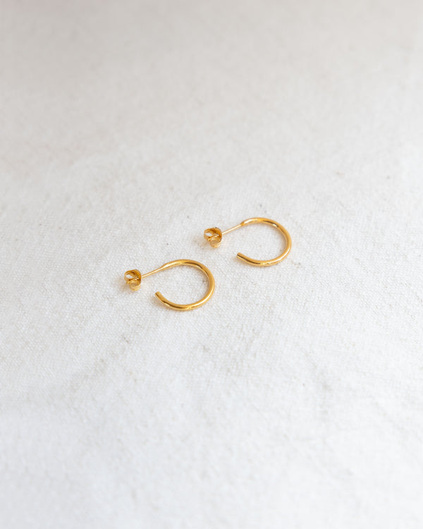 Small Hoop Earrings