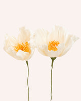 Poppy Single Stem – Cream Homeware Natalia Manczak
