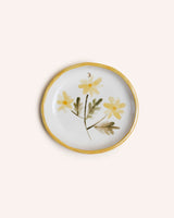 Scottish Primrose Wall Plaque Homeware Pantry Pots