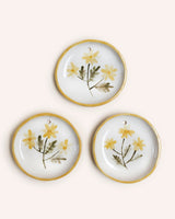 Scottish Primrose Wall Plaque Homeware Pantry Pots