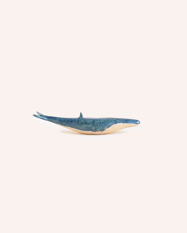 Mini Pacific Whale