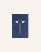 Snowdrops Cyanotype Print Wee Norrag