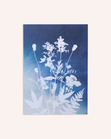 Healing Highland Plants – Indigo Fade