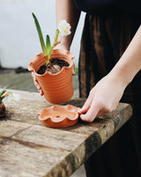 Frilly Terracotta Plant Pot & Saucer Homeware Paige Mitchell