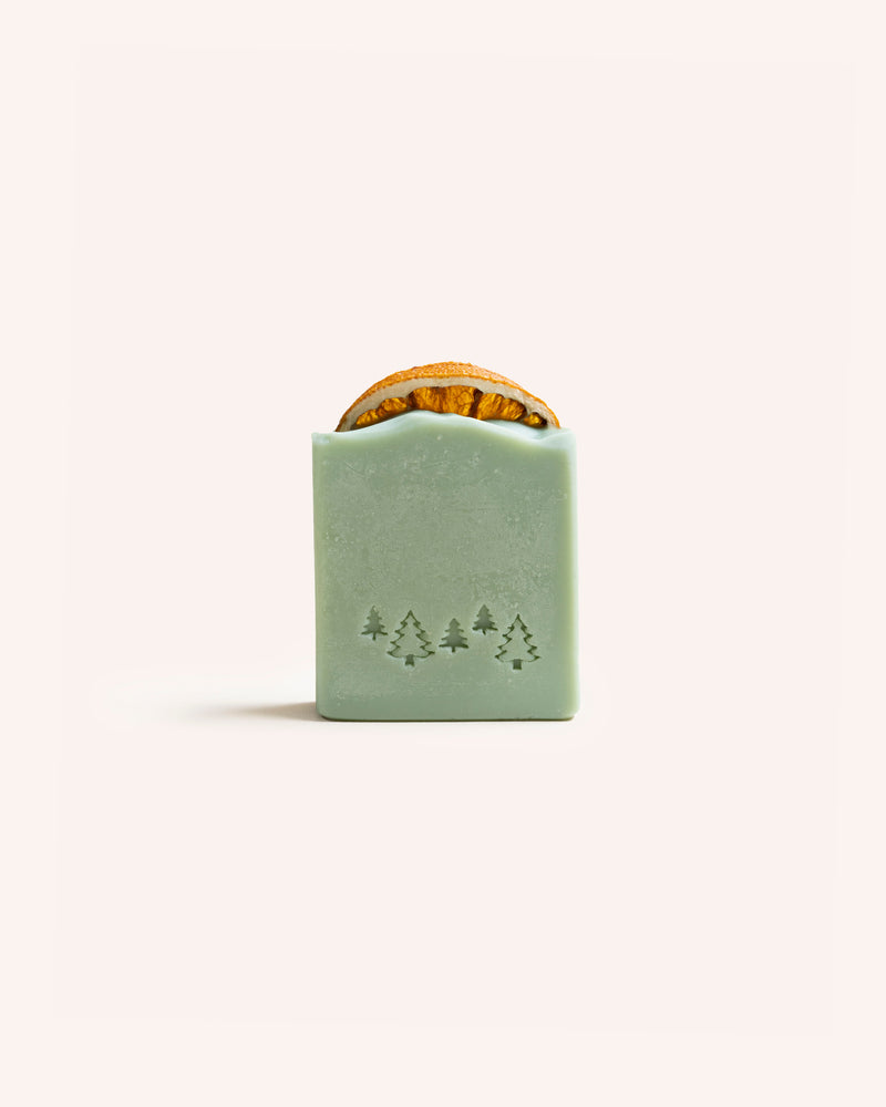 Christmas Soap – Frosted Fir Seasonal / Occasion Half of Nine