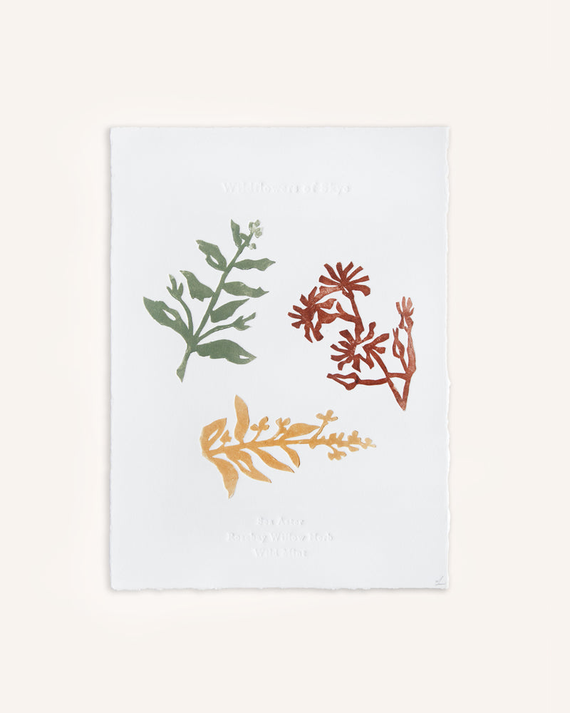 Skye Wildflowers Relief Print