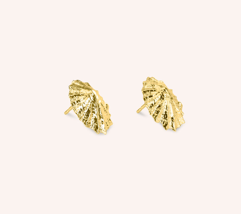 Limpet Earrings