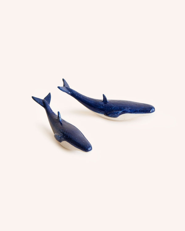 Mini Blue Whale
