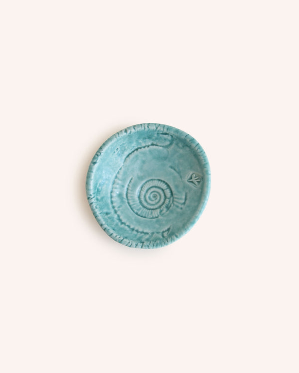 Matte Turquoise Fossil Dish