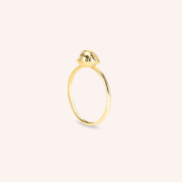 Cowrie Ring in Yellow Gold Plate