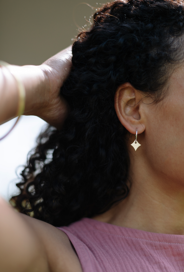 Kate Brass and Silver Earrings